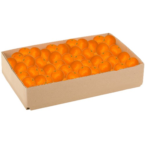 Tangerines - 10 lbs