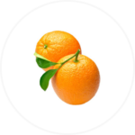 Citrus Category